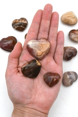 Versteinertes Holz Herz 20 - 40 mm