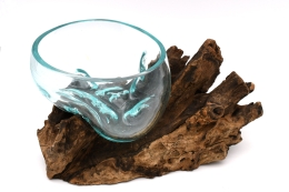 Glasschale auf Kaffeestrauchwurzel