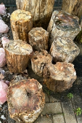 Versteinertes Holz St�mme 200 kg