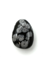 Snow flake obsidian tumbled stones flat drilled 5-er Set