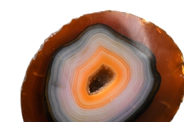 Achat auf Metallst�nder