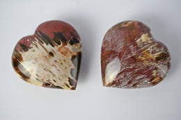 Versteinertes Holz Herz 40 - 60 mm