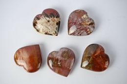 Versteinertes Holz Herz 40 - 60 mm