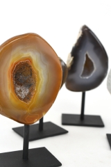 Achat auf Metallst�nder