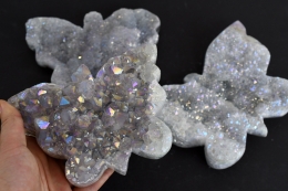 Angel Aura Schmetterlinge Gr��e L