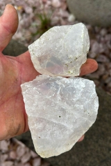 Girasol Rohst�cke 300 kg