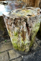 Versteinertes Holz St�mme 200 kg