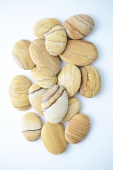 Landschaftsjaspis Seifensteine