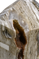 Ozean Jaspis Spitze XXL