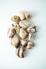 Cappuccino-Jaspis Trommelsteine