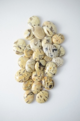 Zebra Feldspat Amulett Shape