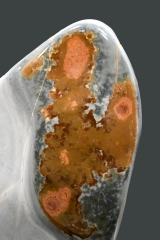 Polychrome jasper free form XXL