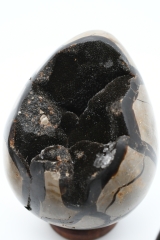 Sepataria wild eggs small