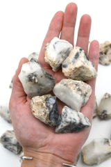 Dendriten Opal Rohsteine