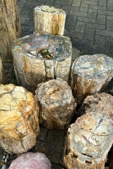 Versteinertes Holz St�mme 200 kg