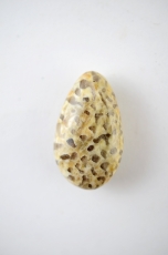 Zebra Feldspat Drop Shape gebohrt 5-er Set