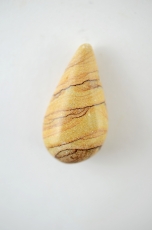 Landscape jasper drop shape drilled 5 pcs set