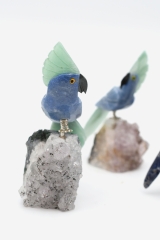 Papagei auf Amethyst