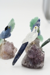 Papagei auf Amethyst