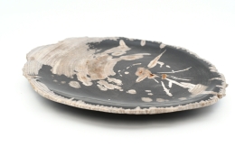 Petrified Wood Plate