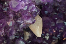 Amethyst Fl�gelpaar 136,5 kg