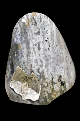 Ocean Jasper free form XXL