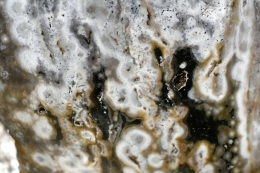 Ocean Jasper free form XXL