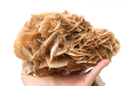 Sandrosen Chott el Djerid W�ste Sahara Tunesien ab 1 kg