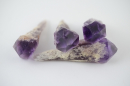 Amethyst Jacare mini