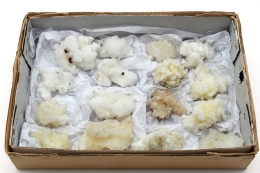 Aragonit Stufen wei� Flat