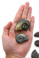 Labradorit Ammonit Shape