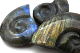 Labradorit Ammonit Shape