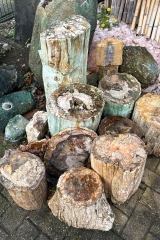 Petrified wood trunks 500 kg