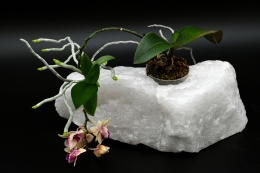 Clear Quartz Raw with drilling Hole