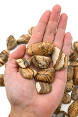 Landscape jasper tumbled stones
