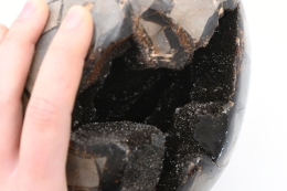 Septaria Wild Eggs Jumbo