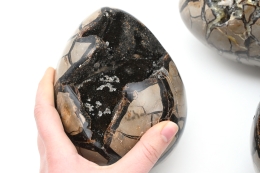 Septarie Wild Eier Jumbo