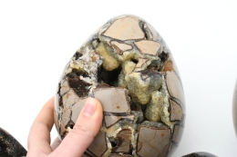 Septarie Wild Eier Jumbo