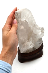 Bergkristall auf Holzsockel - 11 St�ck