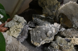 13.1. Amethyst + Calcit Spezialit�ten 5 kg