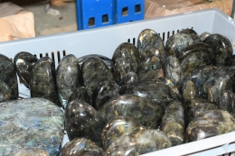 Spektrolith Free Form 10 kg