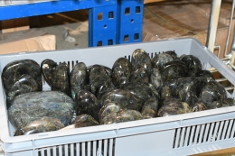 Spektrolith Free Form 10 kg