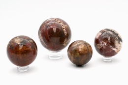 Petrified Wood Spheres