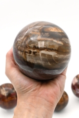 Versteinertes Holz Kugeln