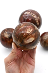 Versteinertes Holz Kugeln