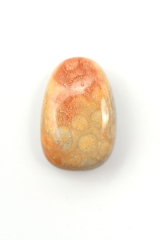 Koralle Trommelsteine flach gebohrt 3-er Set