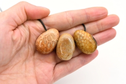 Koralle Trommelsteine flach gebohrt 3-er Set