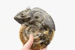Ammonite Carving
