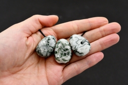 Baumachat Trommelstein flach gebohrt 5-er Set