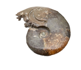 Ammonite Carving